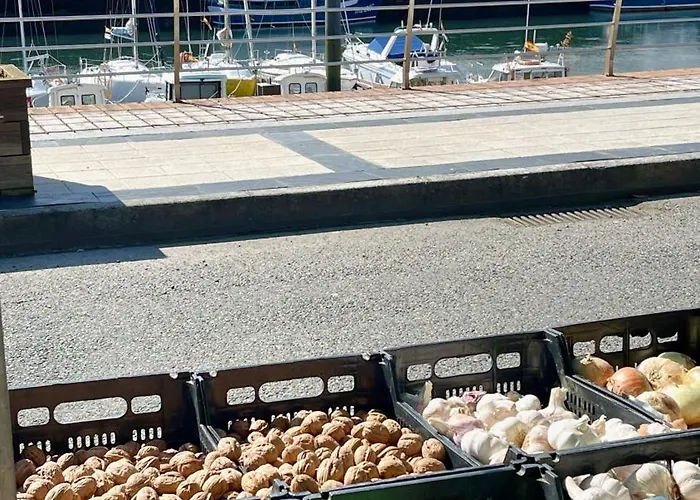 The Cliffs A Ribeira - Peizas